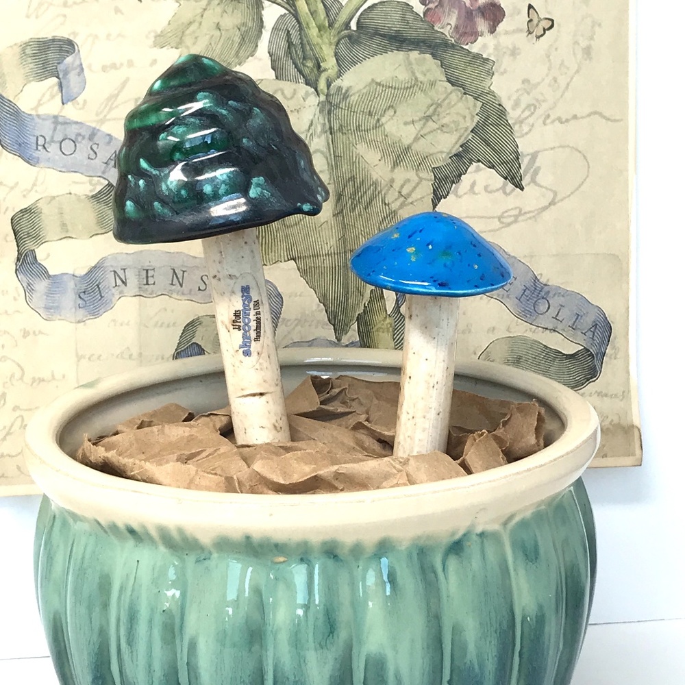 Artist Handmade Ceramic Mushrooms Studio Pottery